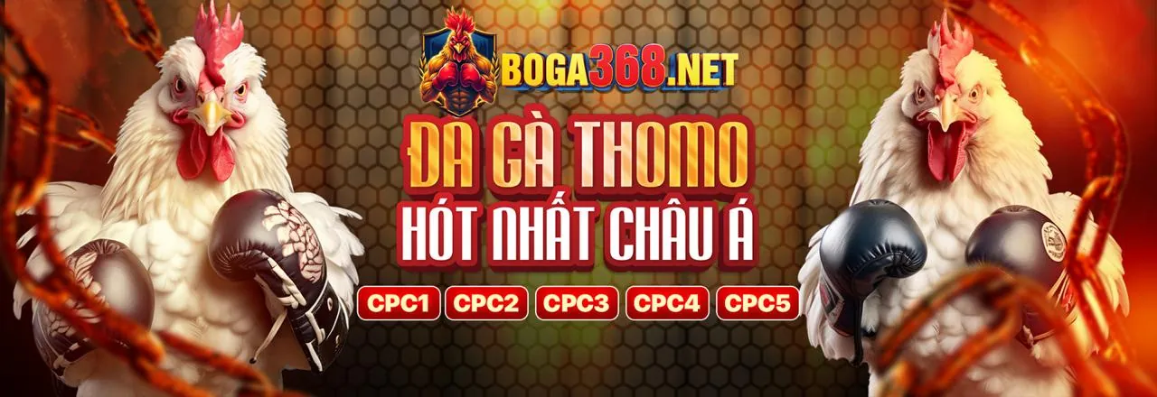 Đá Gà Trực Tuyến G666 Link Vào Kịch Tính